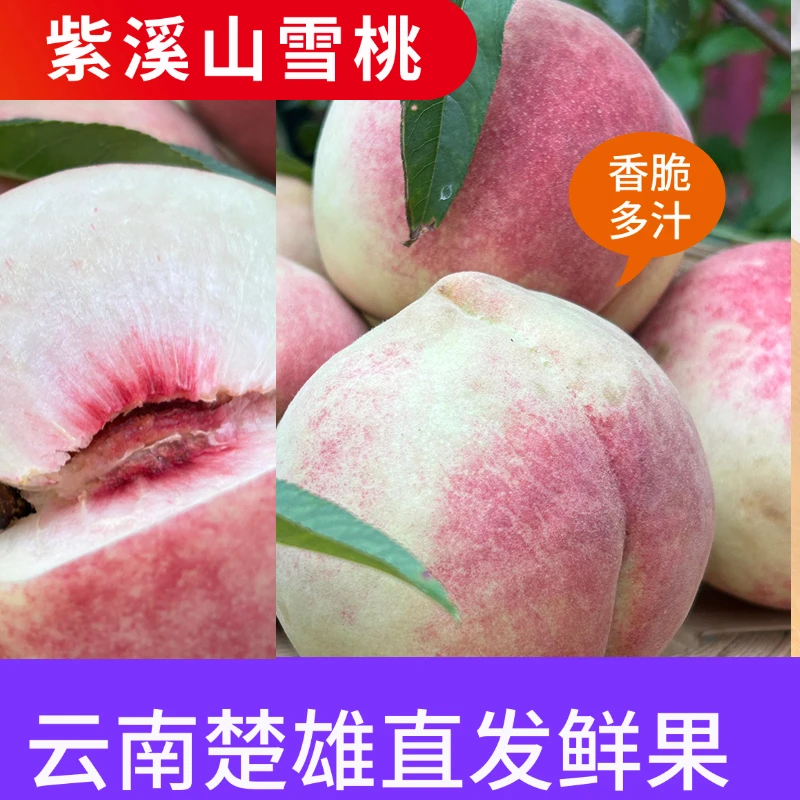 云南楚雄紫溪山雪桃新鲜现摘脆蜜桃脆甜多汁当季应季水果