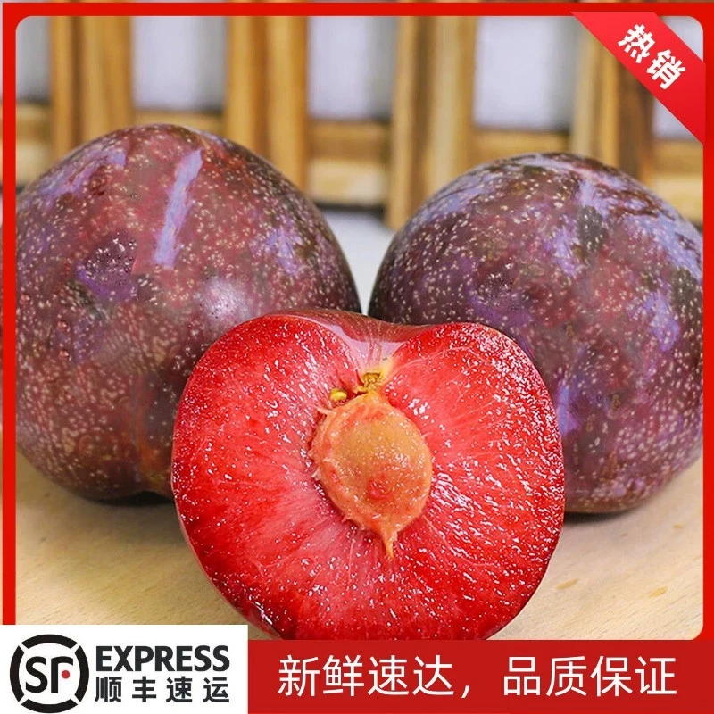 澳洲恐龙蛋凤凰李新鲜李子2-3斤当季孕妇水果坏果包赔【W】