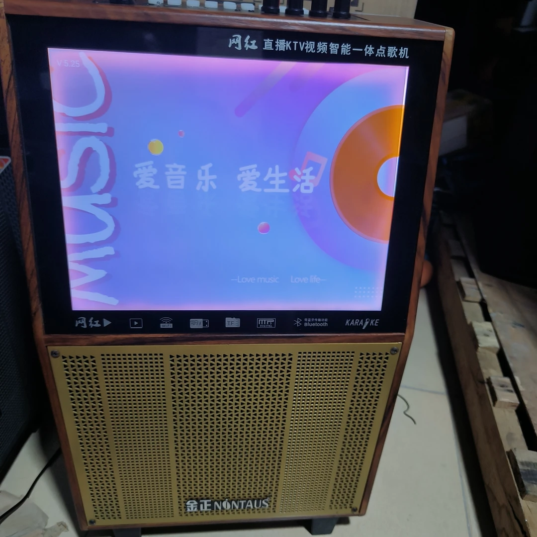 95新 NINTAUS/金正 a13网络版单咪屏红，不售后