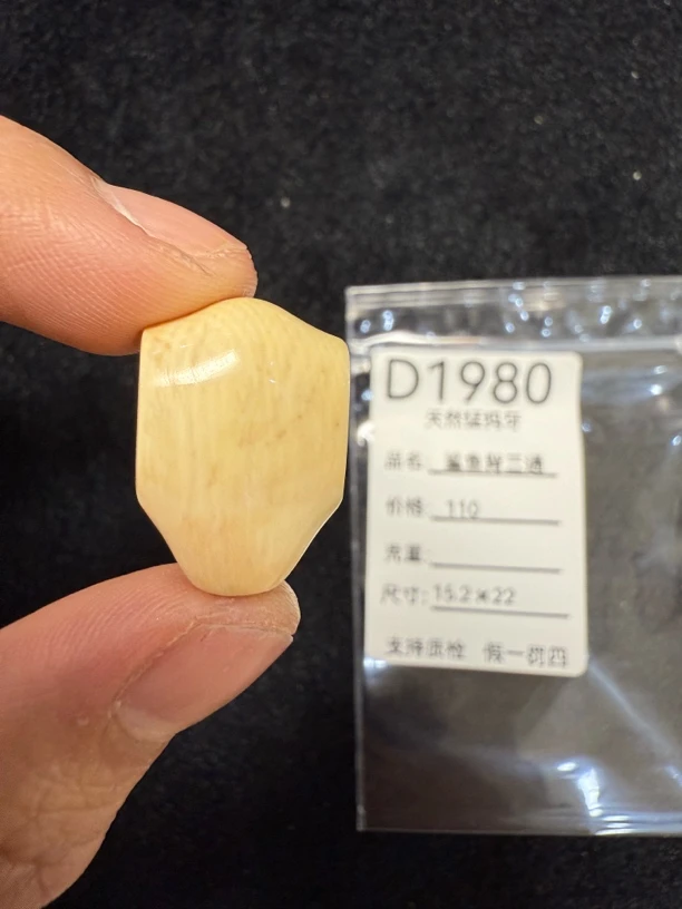 D1980天然猛犸牙鲨鱼背配饰三通