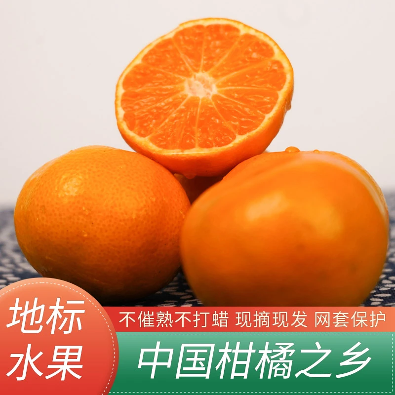 橘子新鲜桔子正宗石门蜜橘无籽蜜桔水果产地直发当季新鲜水果