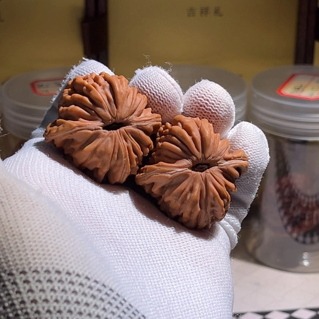 我***白全品 39楼子。小精对儿。