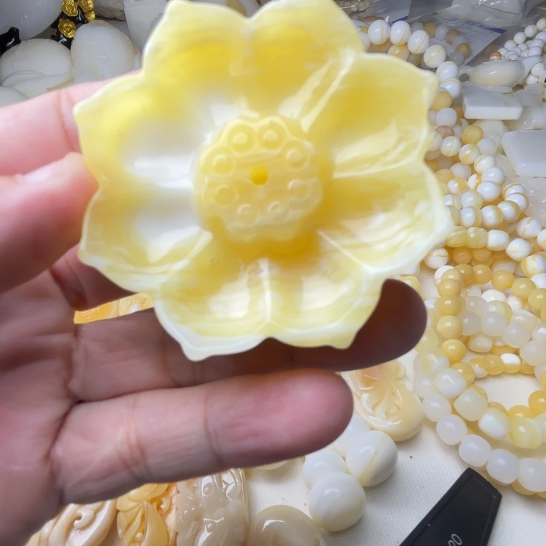小***窝贝壳非金属天然贝壳