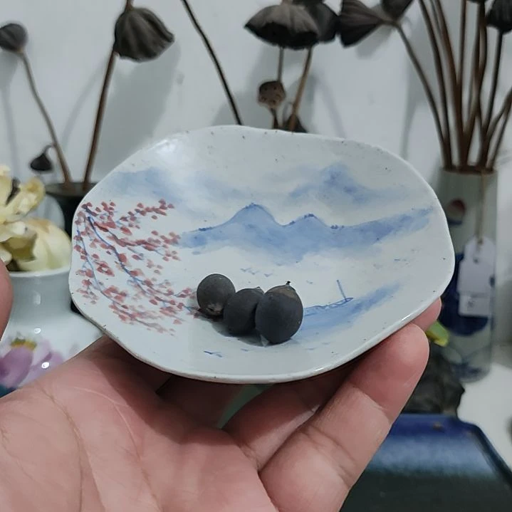 当前无花栽培后可以开花 莲子3粒，送800g碗莲土