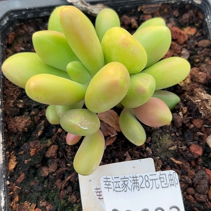 幸运的是我还没遇到