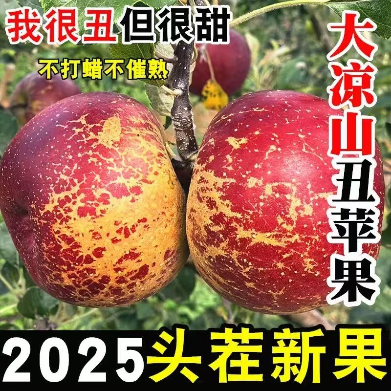 【明日达】四川大凉山盐源丑苹果现货次日达生鲜水果专线包邮四川省