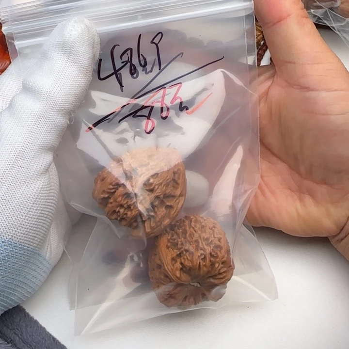 4**9核桃核桃核桃核桃核桃