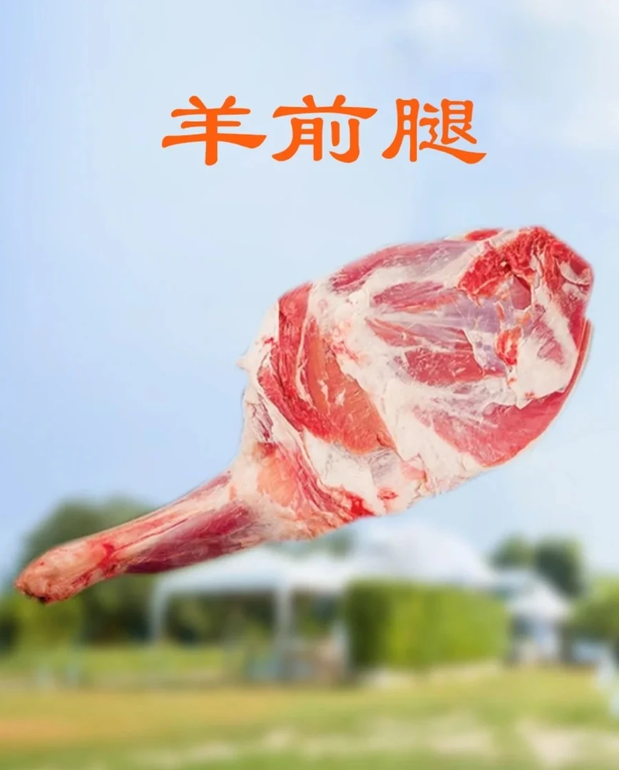 内蒙古羊前腿～原切 整个羊前腿不切发货
