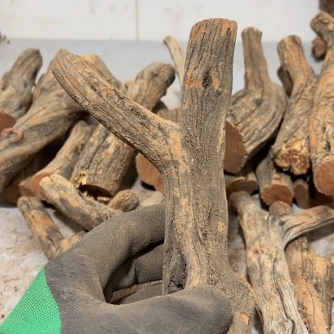 大果紫檀（缅甸花梨）尛*斗