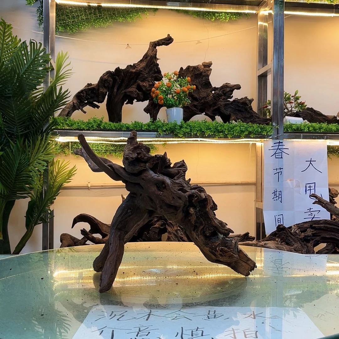 柚木鱼缸沉木造景