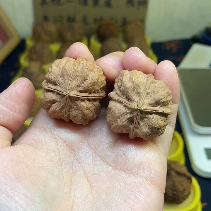 文玩核桃把件34、血舍利四棱36