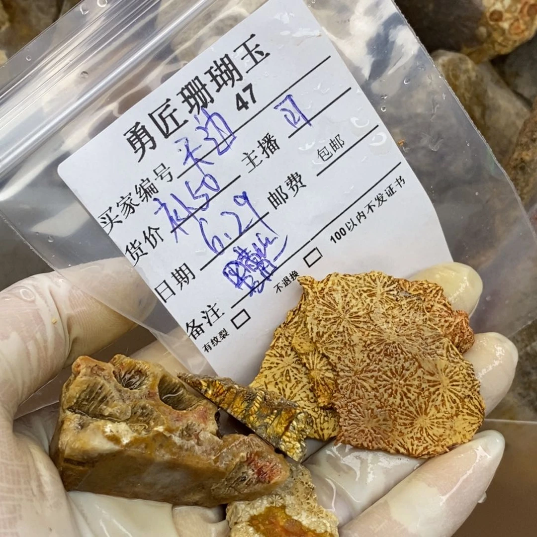 【闪购商品】硅化玉珊瑚玉未镶嵌＆****云