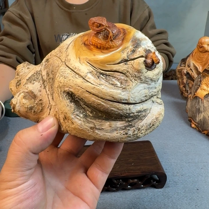 用***5柏木（崖柏）太行崖柏