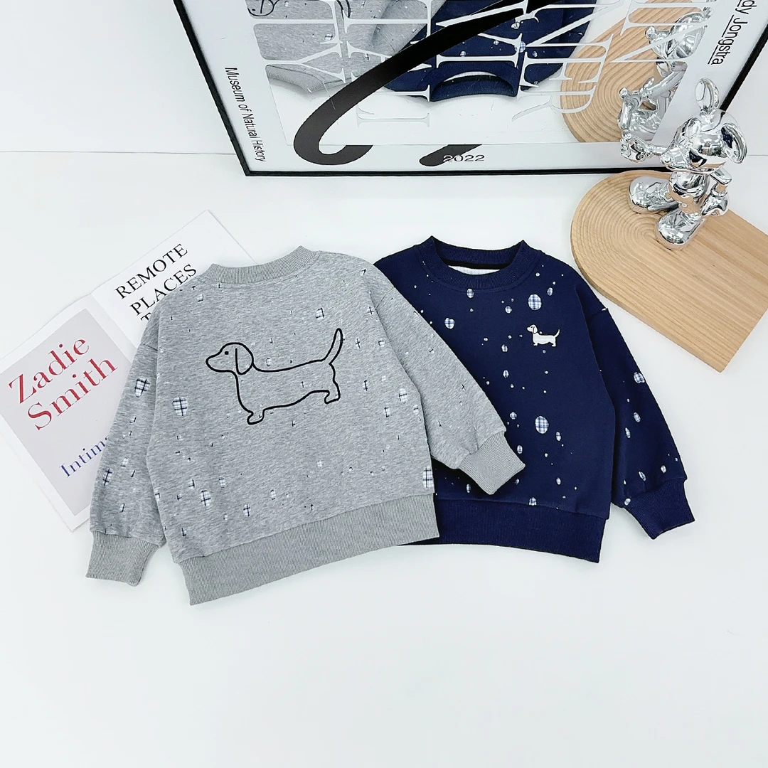 儿童卫衣长袖2025新款秋装男童秋季上衣洋气 HZ25664悠悠童话童装