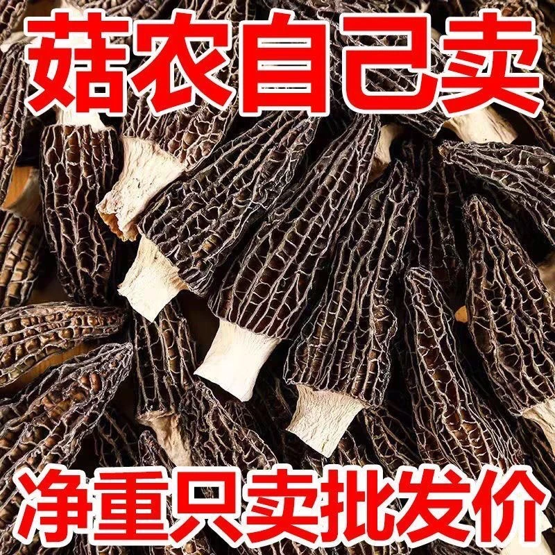 【2025新货】云南羊肚菌干货头茬农家土特产菌菇蘑菇滋补煲汤