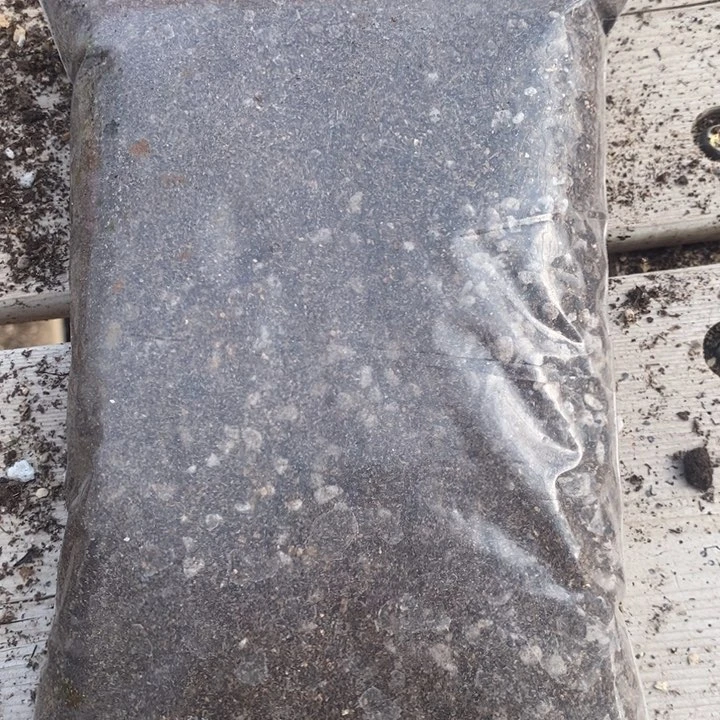 肉锥土1份3袋包邮