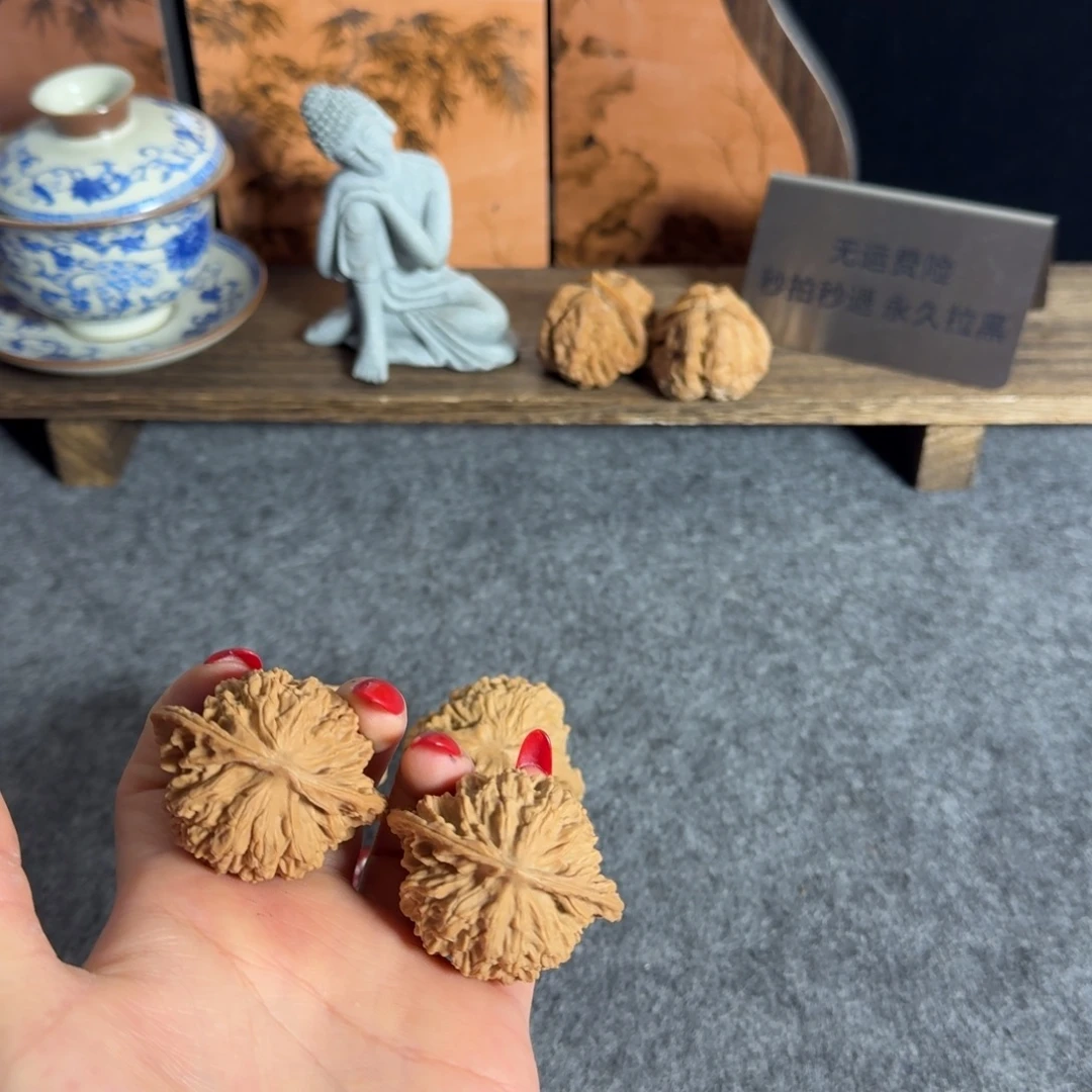 全品46白茬蟠龙纹