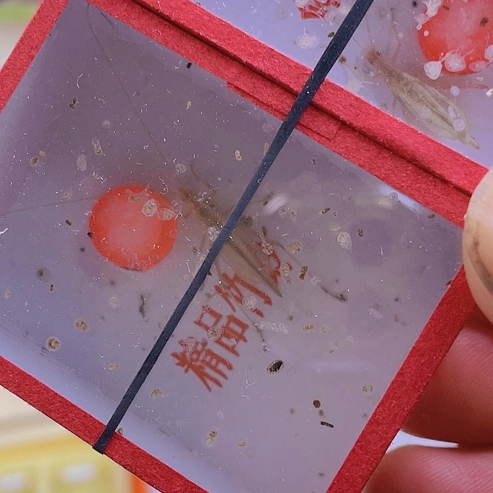 你***子黑竹啊啊啊啊啊啊啊