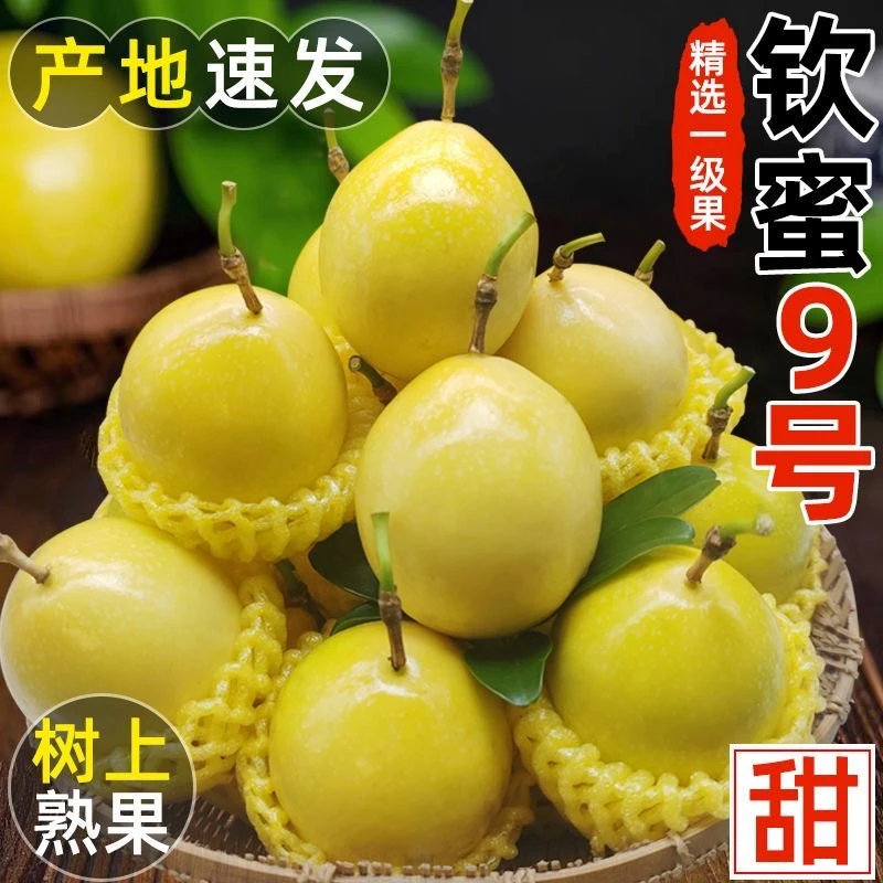 （顺丰包邮）广西钦蜜9号黄金百香果爆甜多汁维C水果广西产地直发