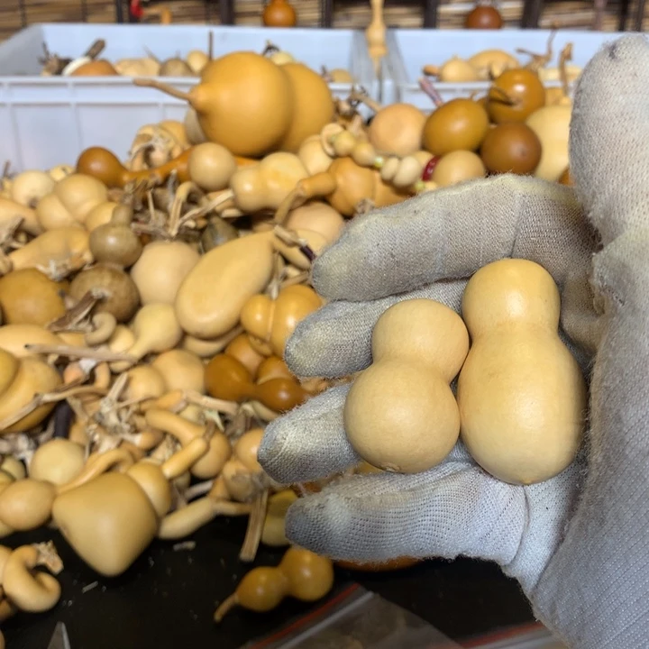 奶香小蛋糕是个大家庭