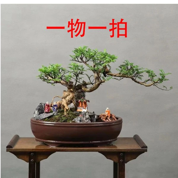 石榴  ，一物一拍，不退不换，看清下单，偏远地区不包邮