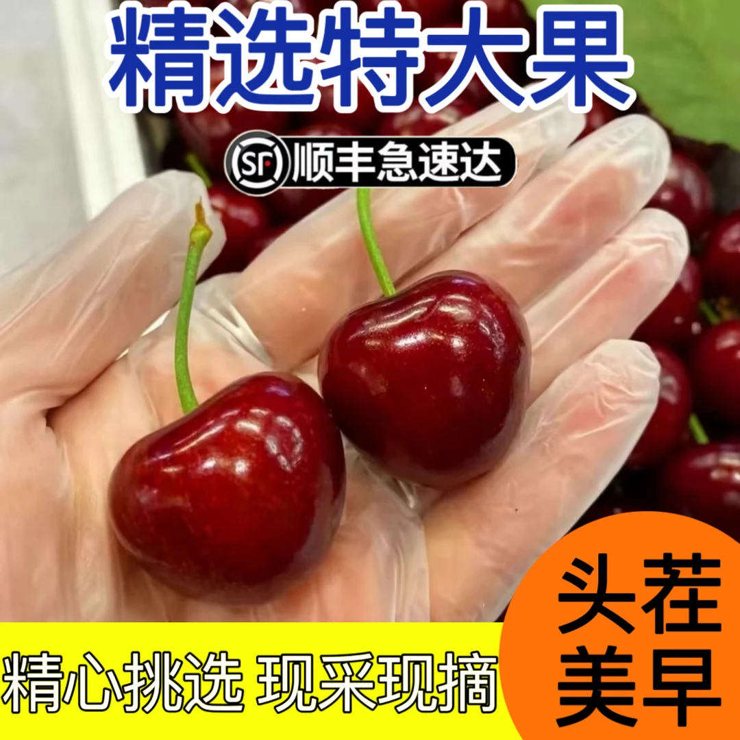 【精选特大果】大连美早樱桃新鲜水果2.5斤顺丰空运4-5J 内附果径卡