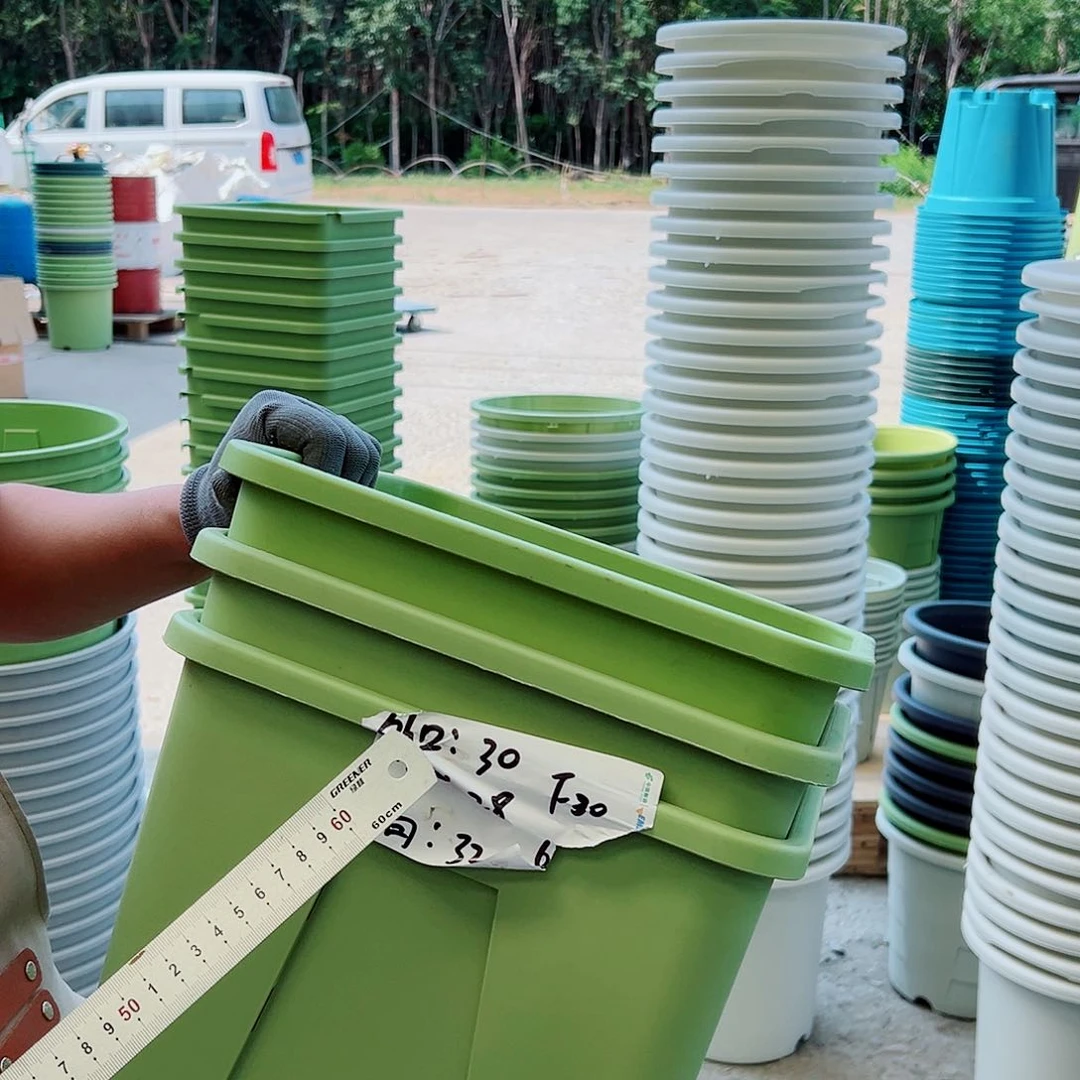 F30果绿色3个无托