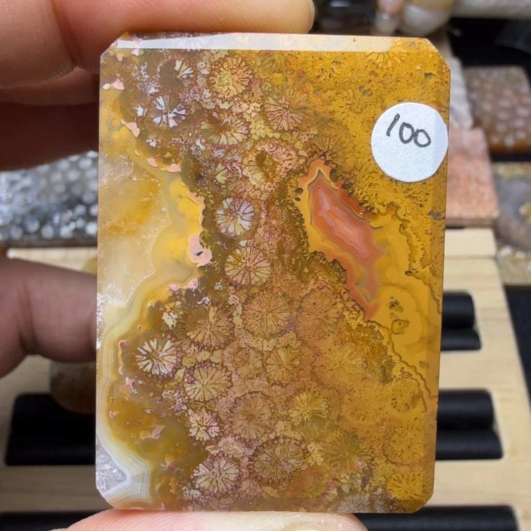 硅化玉未镶嵌纯天然色有机玉石保真色