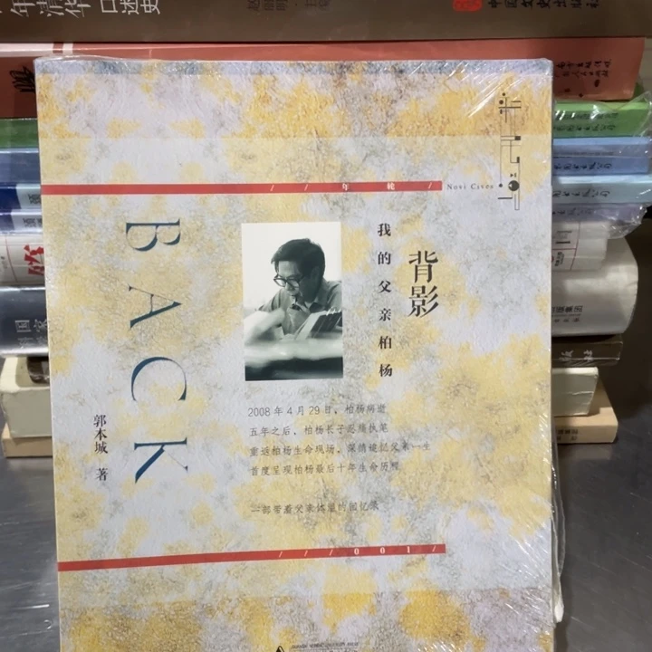 背影正版塑封书籍