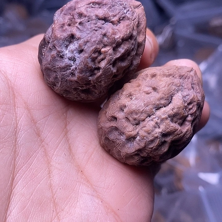 文玩核桃把件   251