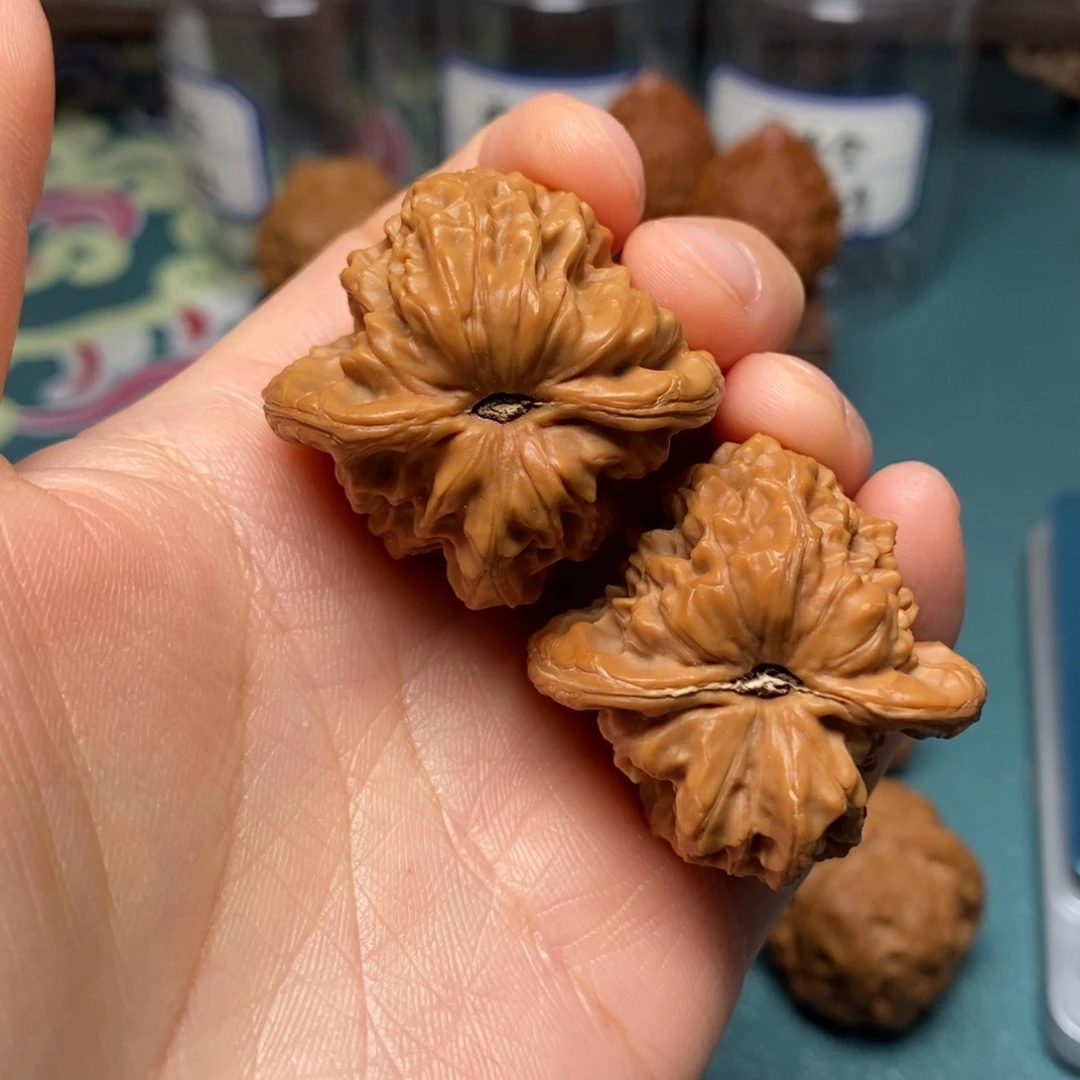 核桃37尺全品白蛇骨