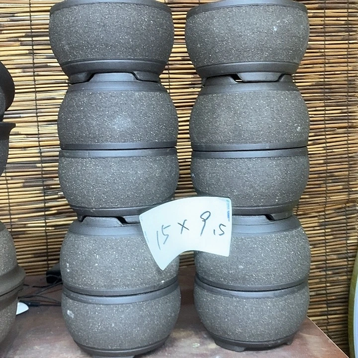 紫砂花盆我在外面