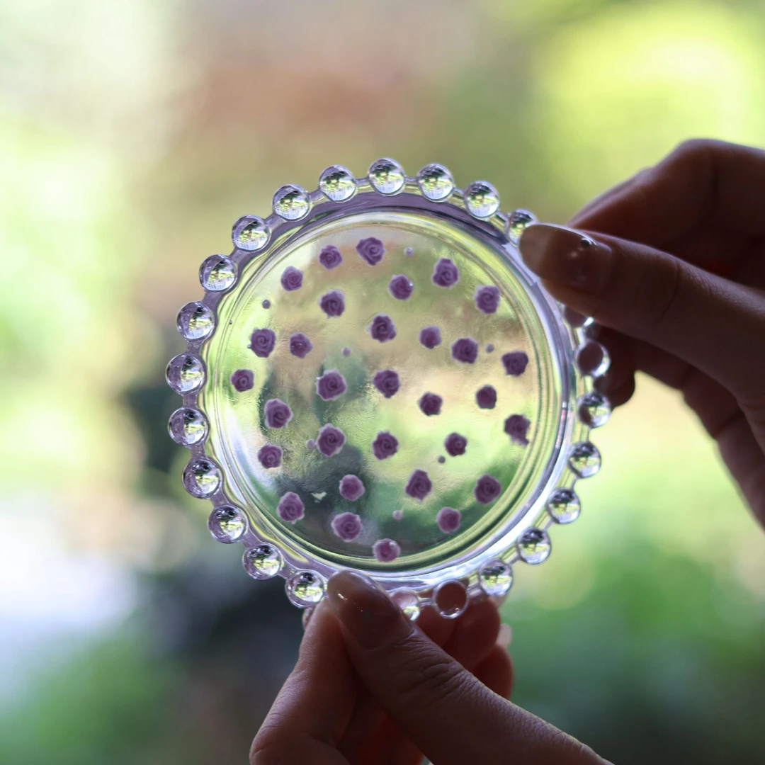 梵汝 玻璃蝴蝶杯垫壶垫 茶具配件