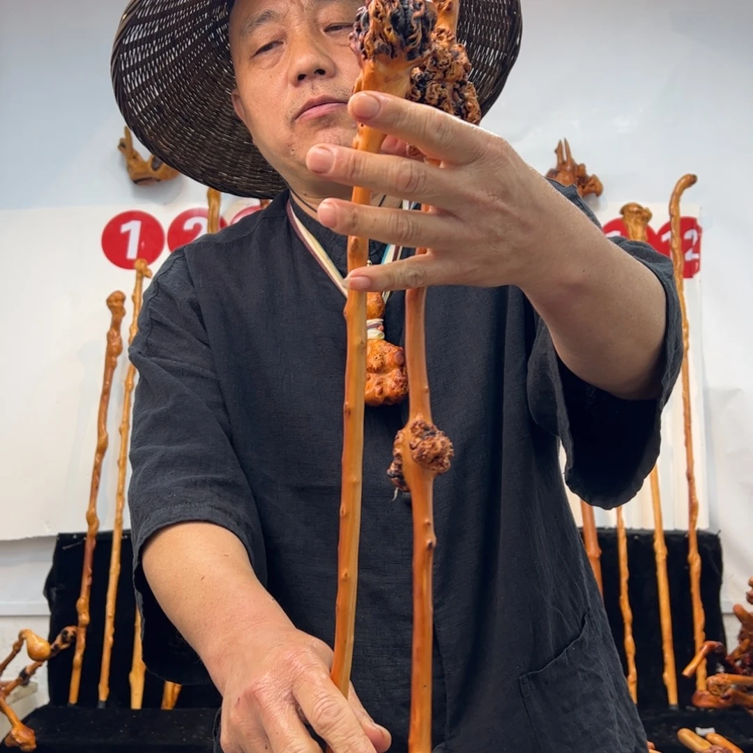 其他黑果木黑果木253