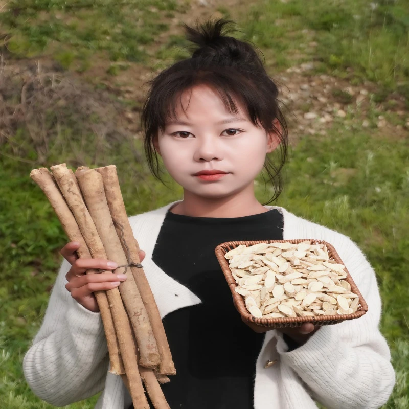 西北婷婷推荐西北特产甘肃岷县黄芪