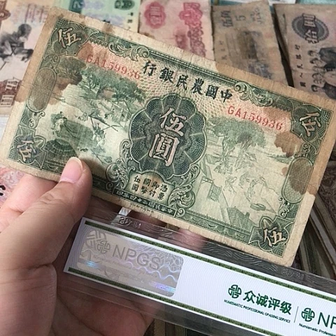 1张退市旧票福利品