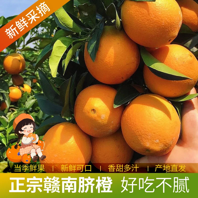 k【正宗赣南脐橙】源产地现摘优质精品果包邮高糖微酸