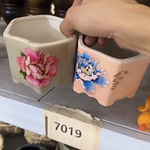 ···2个处理······7019