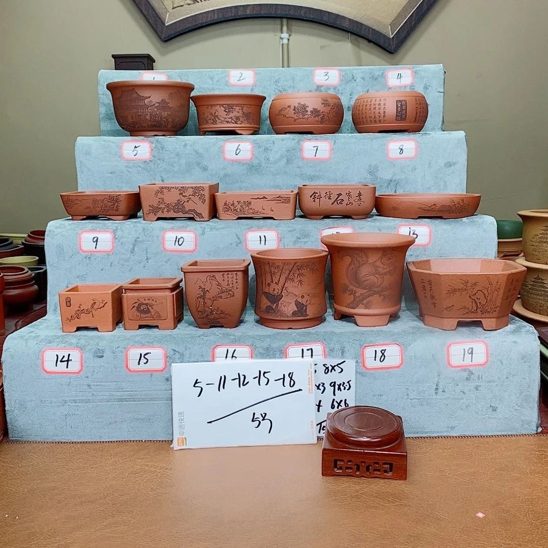 紫砂花盆小**克我在看书