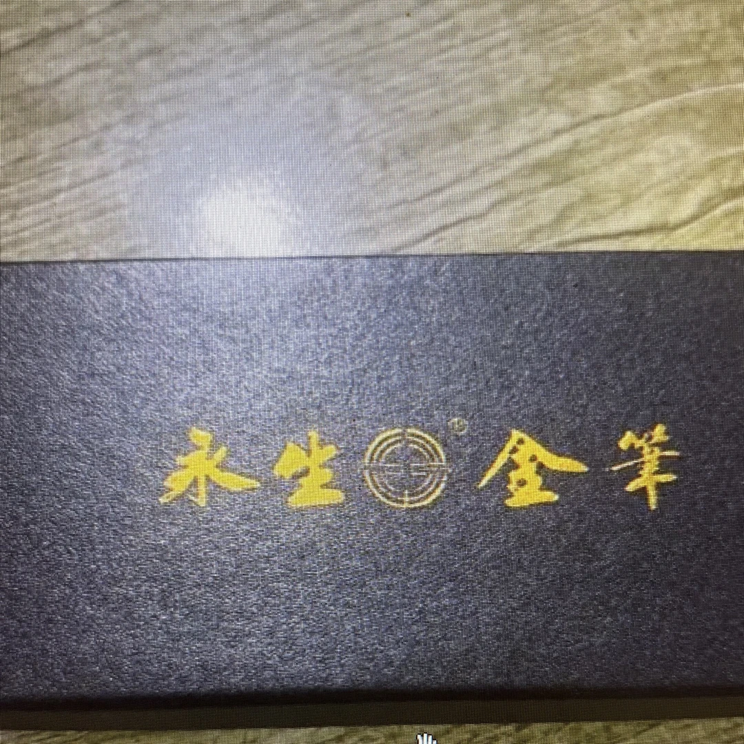 钢笔带墨囊适合学生练字成人办公书写