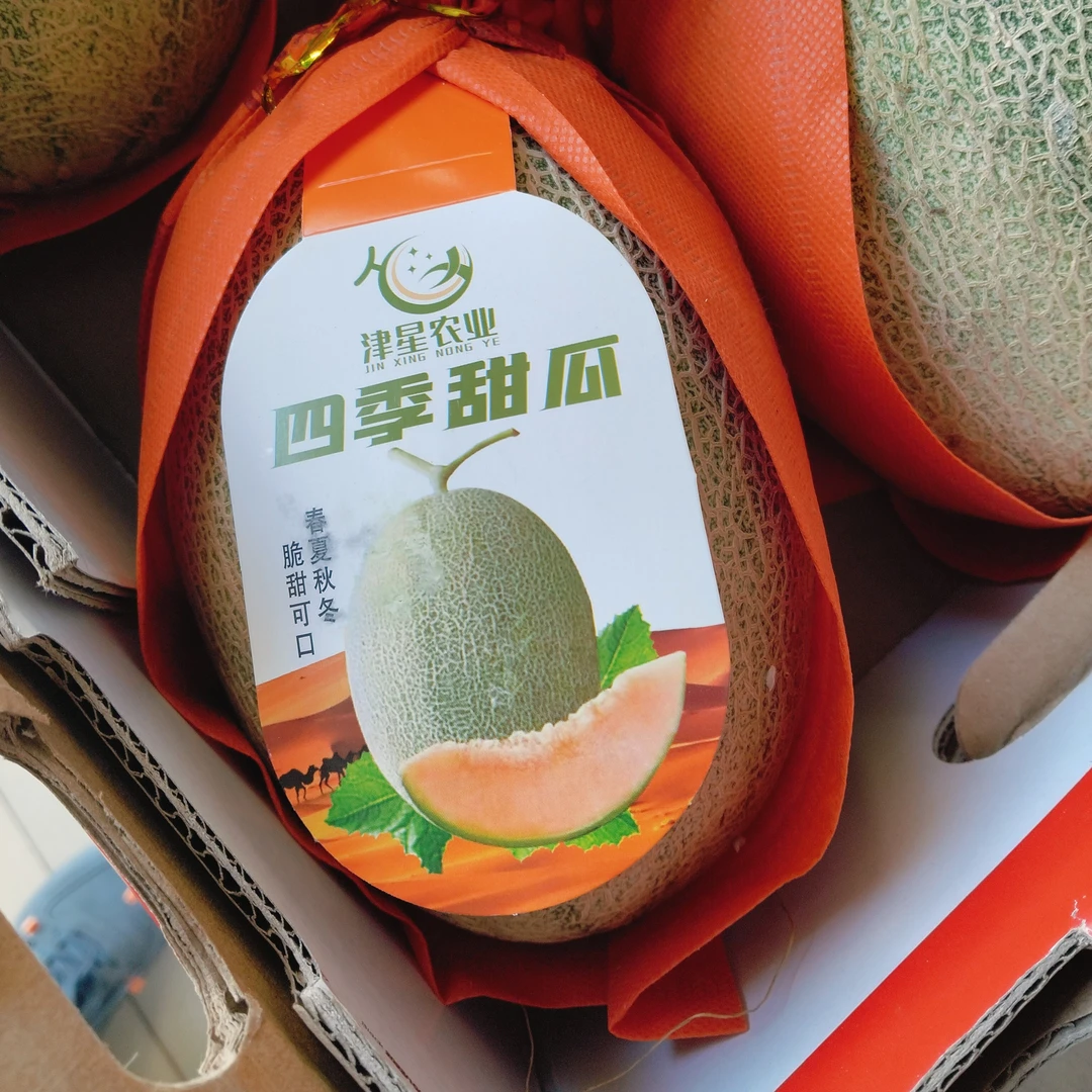 海南沙地晓蜜蜜瓜  嘎嘎甜三斤半左右一颗