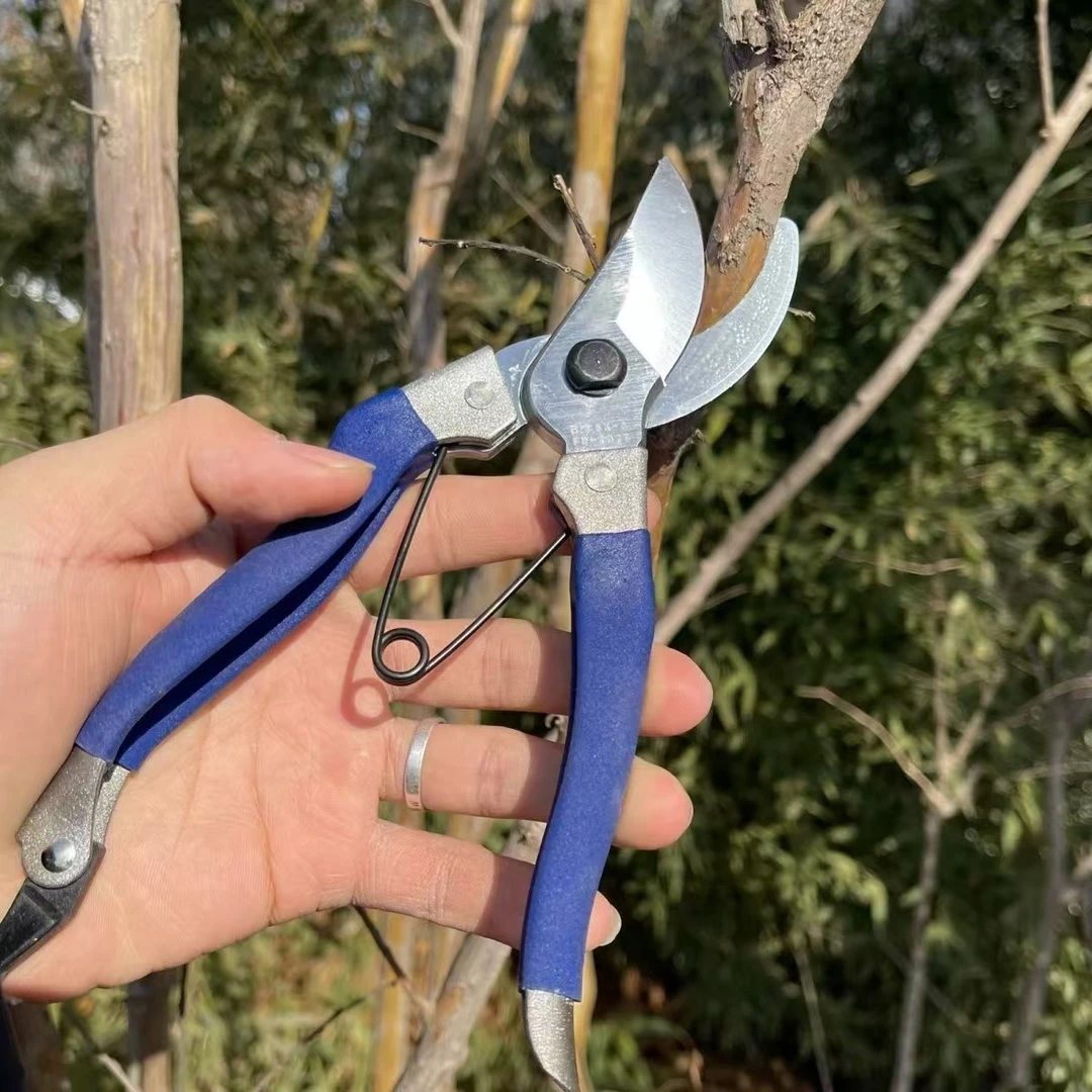 可以嫁接的剪刀修枝嫁接专用剪园林修枝剪园艺剪果树剪专用嫁接剪