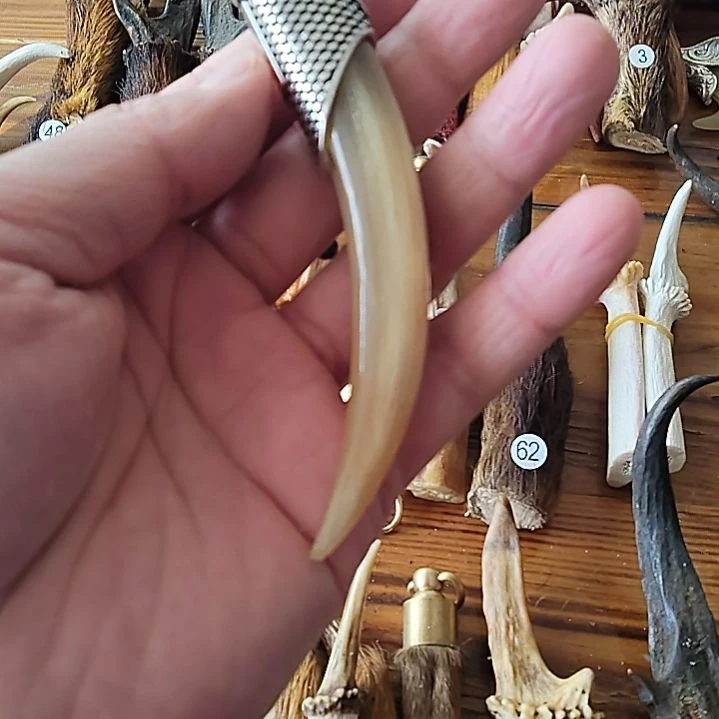 鸿乐堂直播间选货