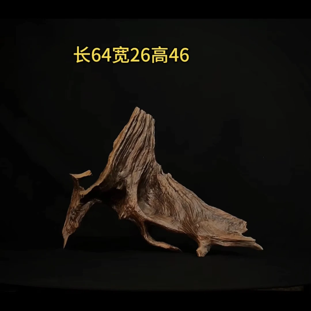 张大狼造景沉木长64cm爆裂树桩 南美鱼缸造景 紫柚木秒沉