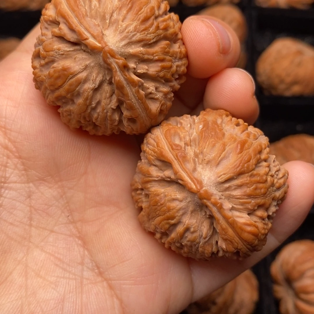 文玩核桃把件秦岭野生核桃