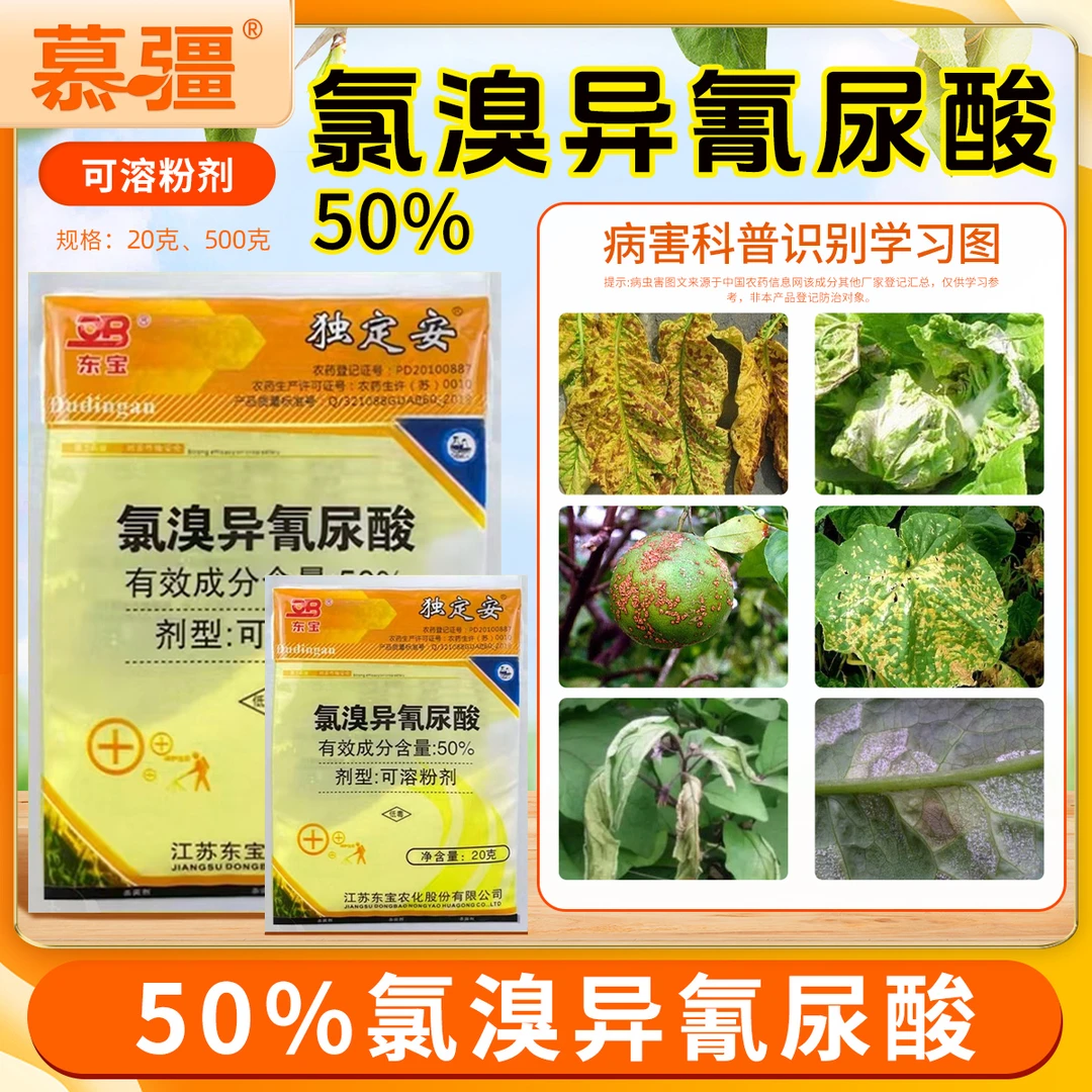 慕疆氯溴异氰尿酸白菜软腐病水稻白叶枯病 细菌性条斑病杀菌剂