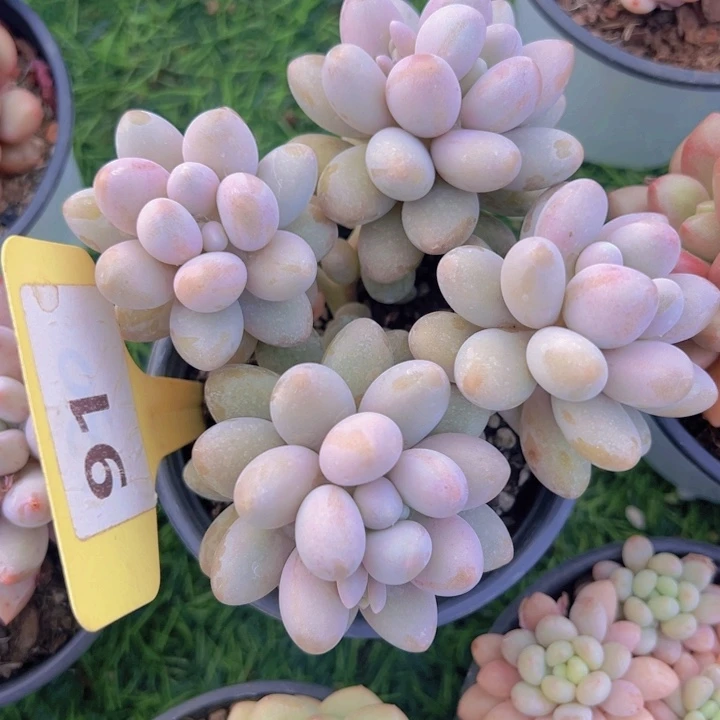 健健康康平平安安