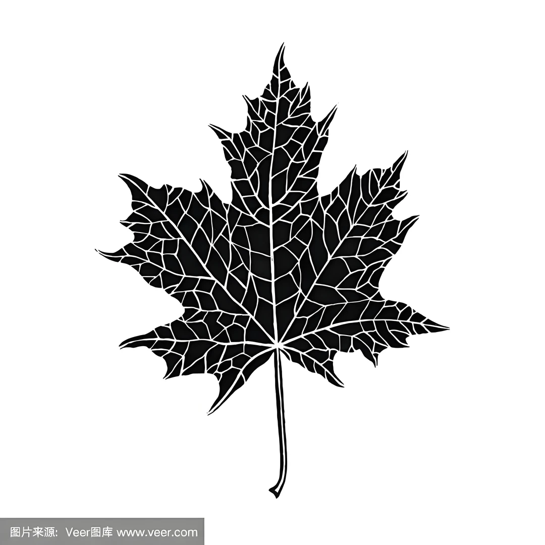 凌云枫树盆栽邮费