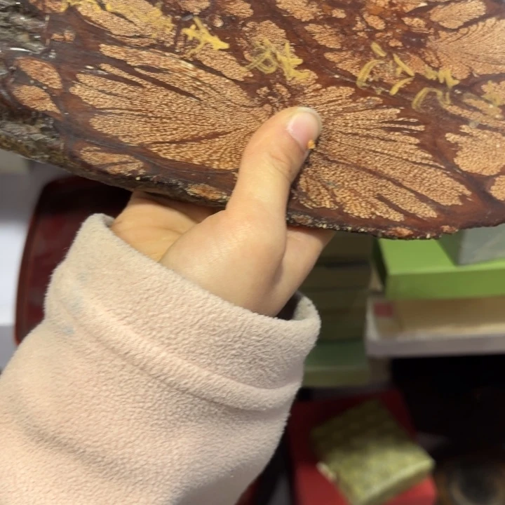 舒***舒瓷器及陶器及陶瓷