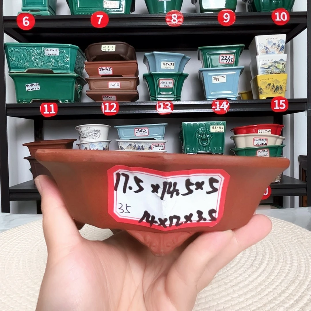 本以为是三分热度，却是十分喜欢